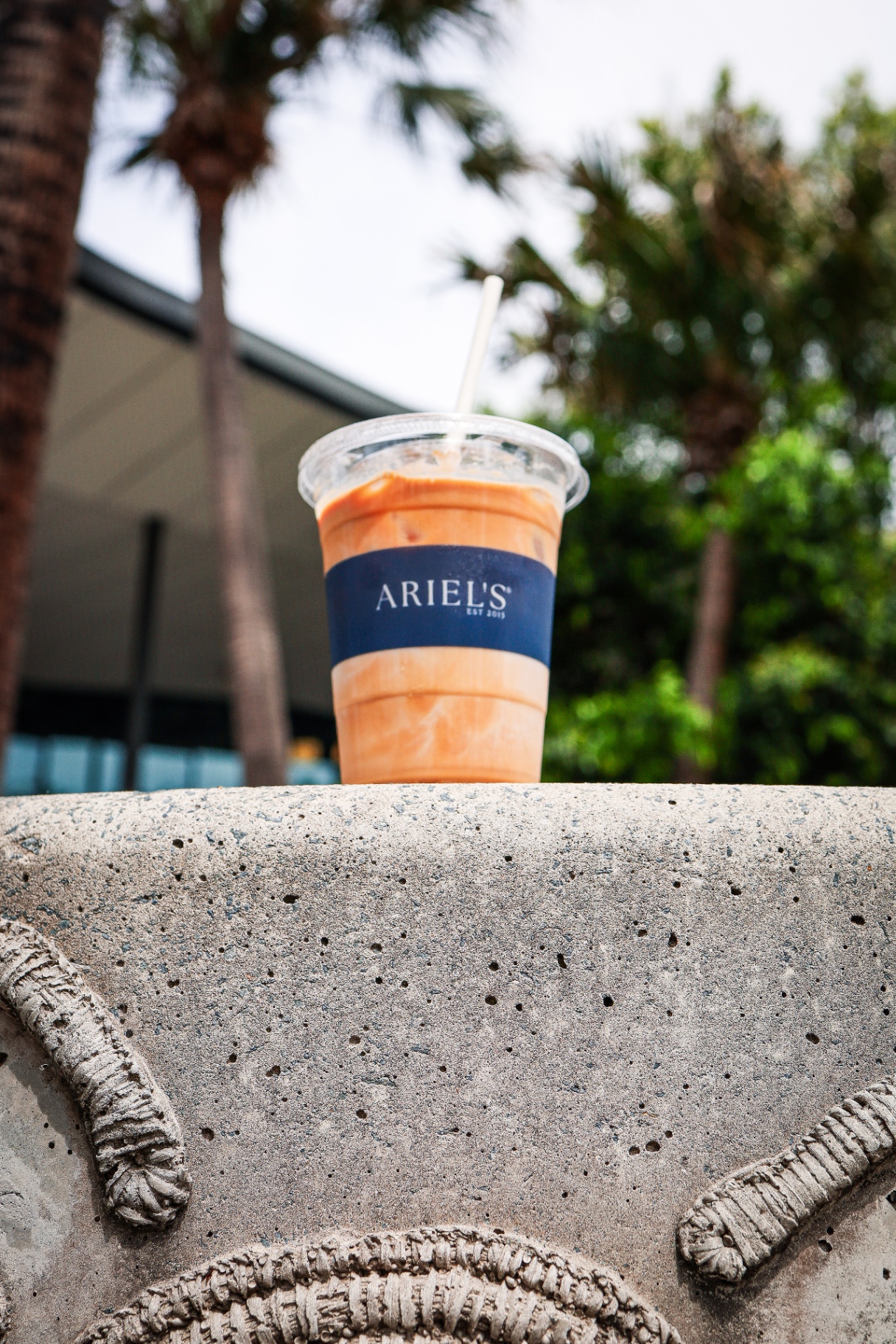 Ariel's iced coffee with palm trees