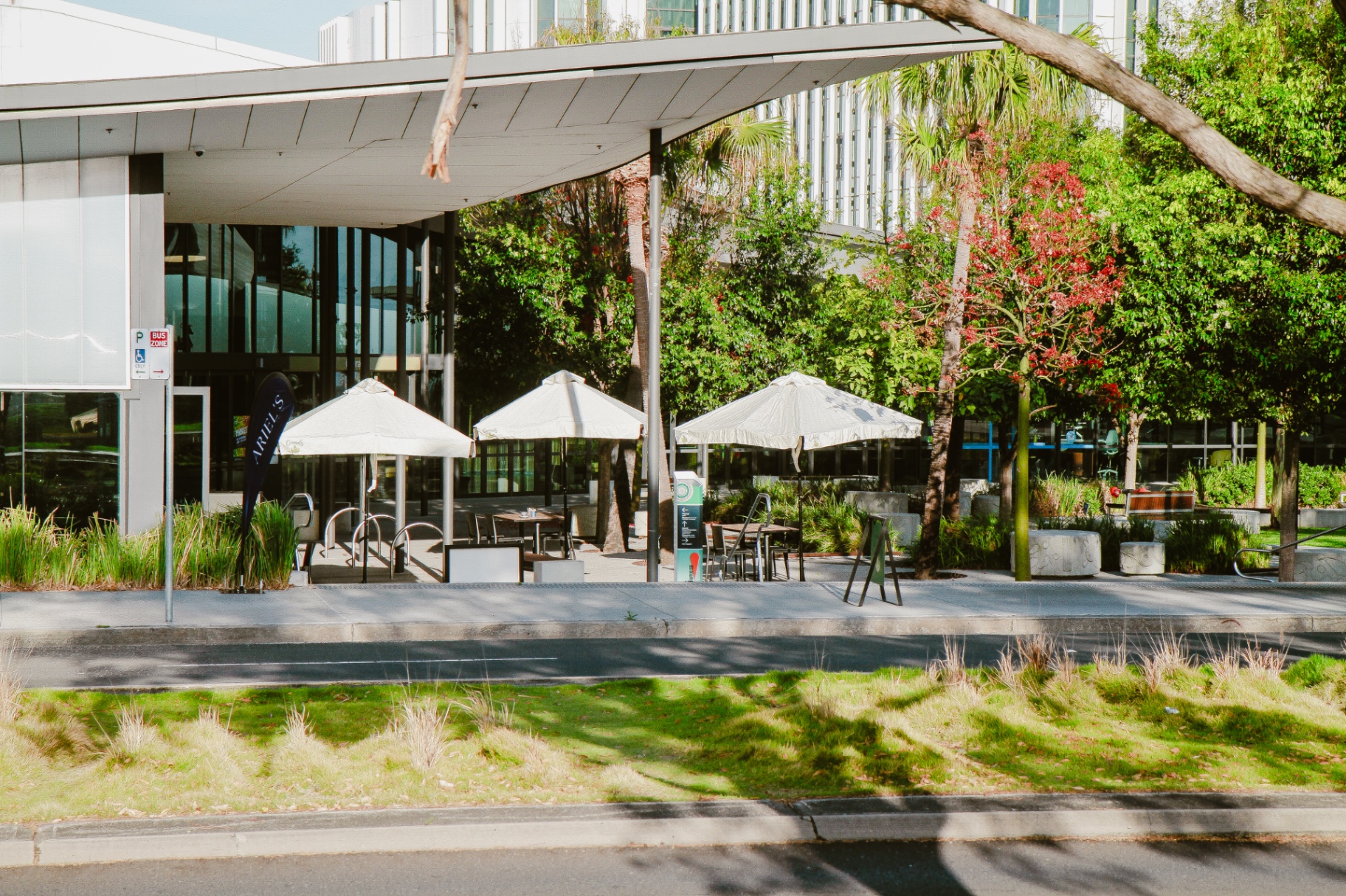 Ariel's Shellharbour café